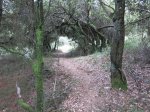 IMG_0168.JPG