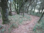 IMG_0169.JPG