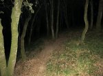 IMG_0176.JPG