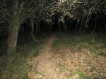 IMG_0177.JPG
