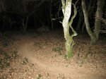 IMG_0179.JPG