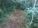 2013-10-15 17.03.28.jpg