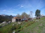 P1150937_800x600.jpg