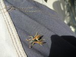 P1150991_800x600.jpg