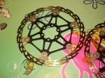 Optimized-DSC06873.JPG