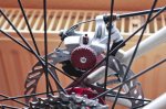 gryphon_24.JPG