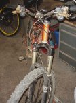 DSC00549.JPG