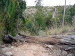 DSCN0743.JPG