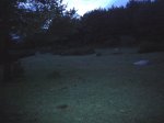P0000010_redimensionar.jpg