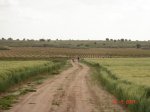DSC01776.jpg