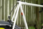 de rosa 96 2.jpg