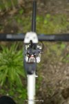 de rosa 96 3.jpg