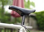 de rosa 96 4.jpg
