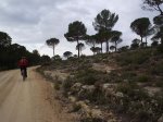 Bere al CamÃ­ dels valencians.jpg