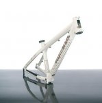 mtb_vip_absolut_4X.jpg