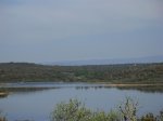 DSCN0803 (Medium).JPG