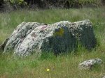 DSCN0833 (Medium).JPG