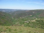DSCN1041 (Medium).JPG