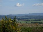 DSCN1070 (Medium).JPG