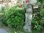 DSCN1108 (Medium).JPG