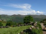 DSCN1141 (Medium).JPG