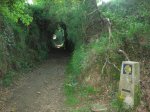 DSCN1150 (Medium).JPG
