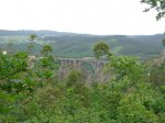 DSCN1175 (Medium).JPG