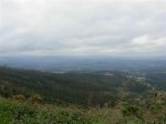 DSCN1198 (Medium).JPG