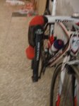 DSCF1261.JPG