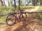 20130909_120907.jpg