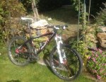 bici 003.jpg