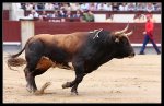 Victoriano del R&#237;o (Blog de toros).jpg