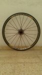 ruedas equipe 006 (Copiar).jpg