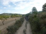 P1070415.jpg