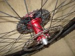 DSC07175_resize.JPG