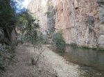 PA190016.JPG