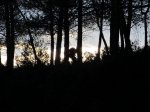 IMG_4150 (Copiar).JPG