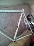 IMG_20131019_113211.jpg