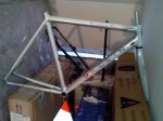 IMG_20131019_113607.jpg