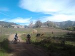 2013-10-17 13.43.16 small.jpg