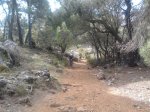 2013-10-19 13.07.38 small.jpg