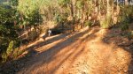 DSCN0887.jpg