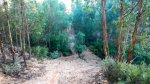 DSCN0894.jpg