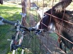 IMG_20131020_133248.jpg