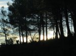IMG_3438.JPG