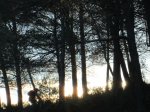 IMG_3440.JPG