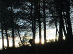 IMG_3441.JPG