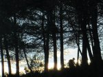 IMG_3442.JPG