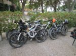 IMG_3485.JPG