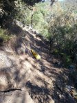 resized_20131011_172450.jpg